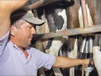 Tamberos marchar�n hacia Buenos Aires