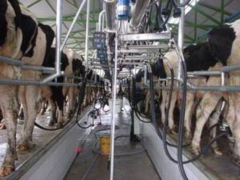 Se inicia el reclamo de los tamberos