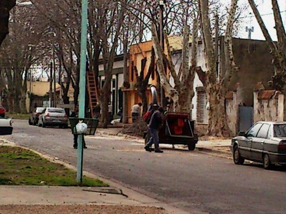 Trabajos de poda en la calle Posadas