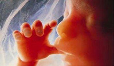 Espa�a avanza hacia la despenalizaci�n del aborto