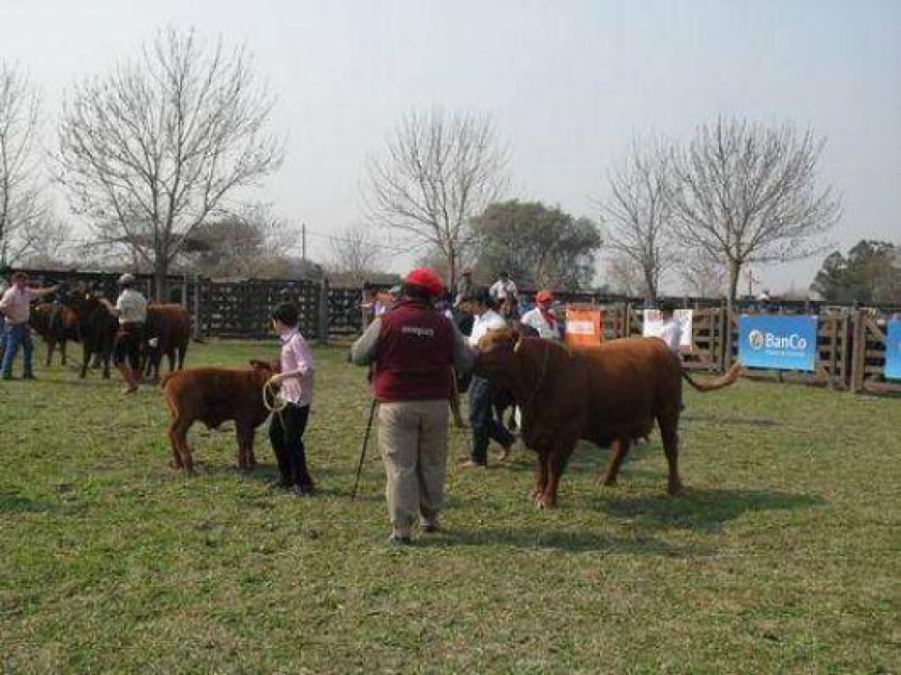 La 77� Exposici�n Rural con tranqueras abiertas