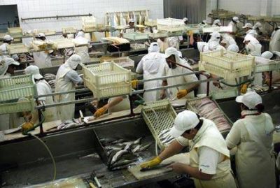 En diez d�as obreros del pescado recibir�n subsidio de 600 pesos