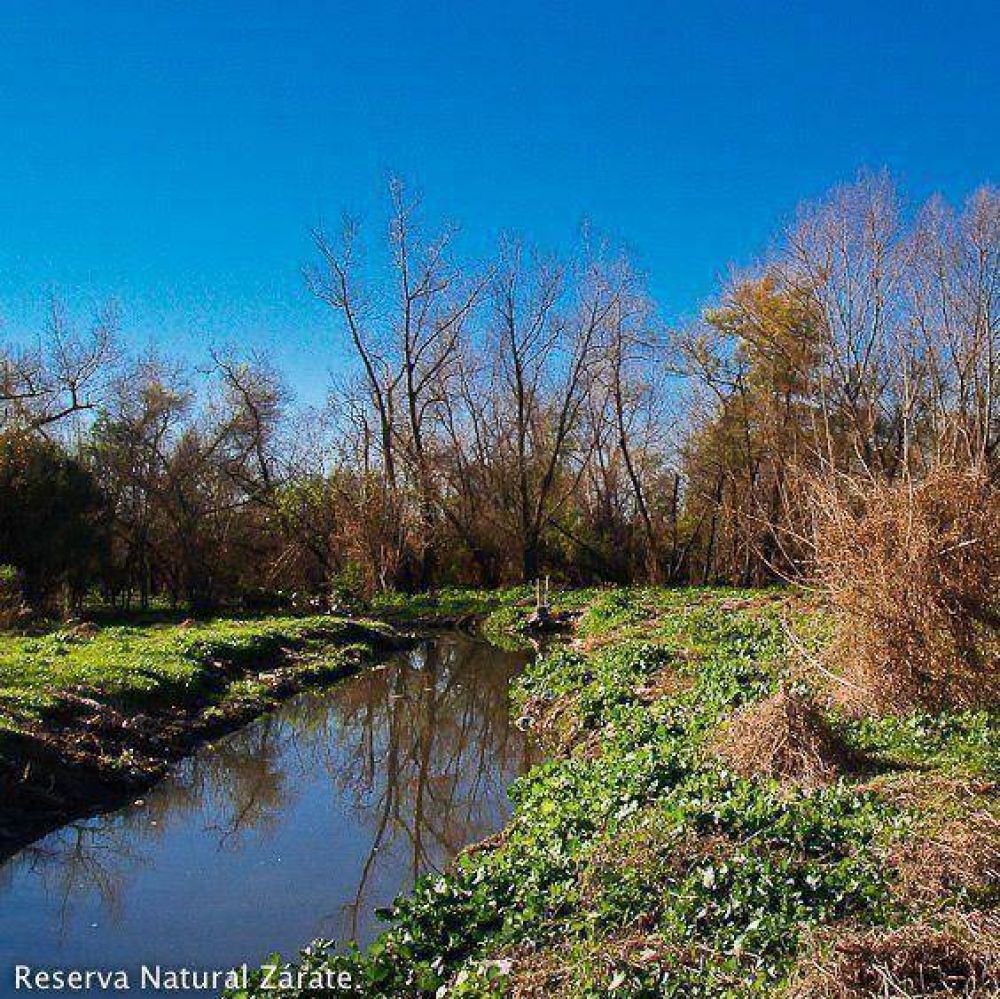 El proyecto de crear una Reserva Urbana Natural contin�a adelante