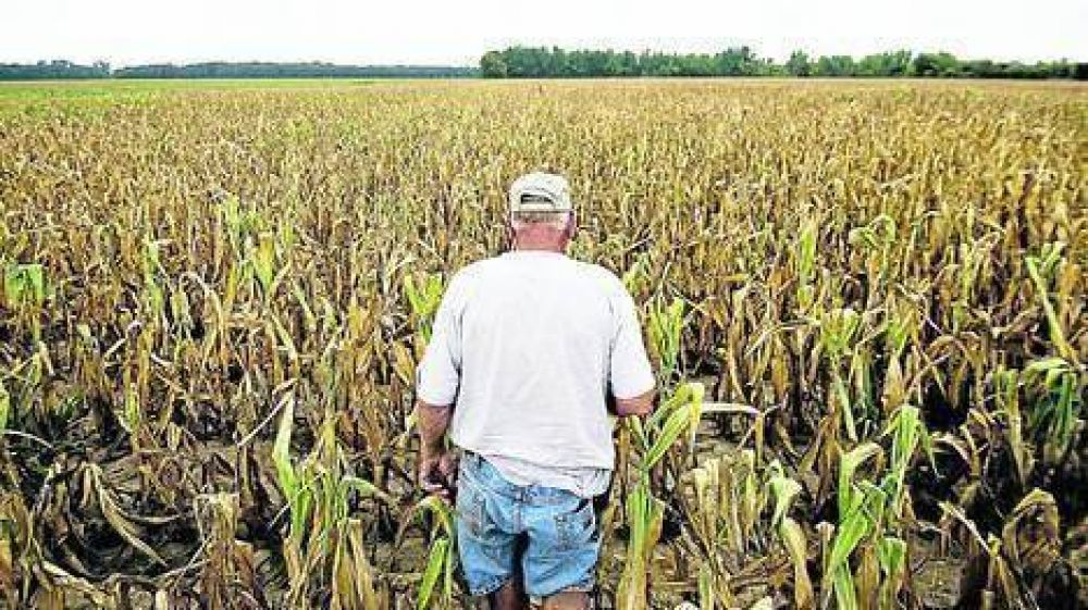 Se agrava la sequ�a en EE.UU. y hay alarma por una crisis alimentaria