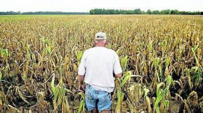 Se agrava la sequ�a en EE.UU. y hay alarma por una crisis alimentaria