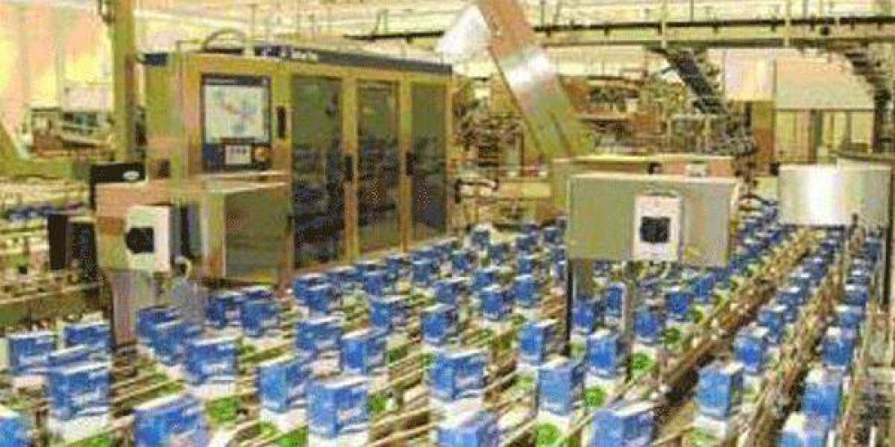 "Las SAPEM ya generaron m�s de 1.000 empleos directos y unos 4.500 indirectos"