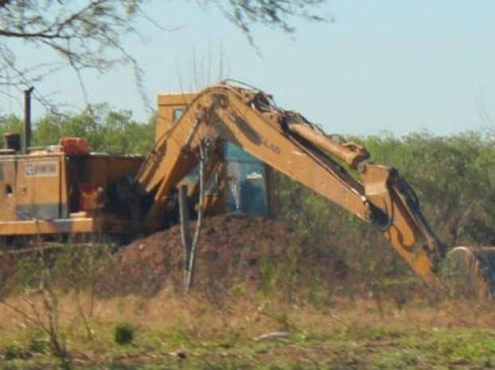 Denuncian da�o ecol�gico en terrenos municipales de las islas por actividad ganadera