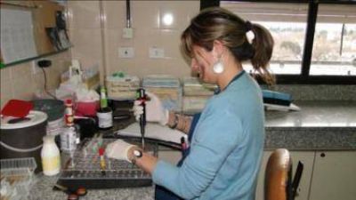 El Hospital Rossi de La Plata lleva realizados casi 600 trasplantes de m�dula �sea