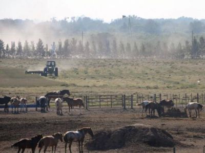 En la provincia de Santa Fe m�s de 141 mil hect�reas son de extranjeros