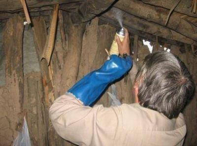 Santa Fe anunci� avances en la lucha contra el mal de Chagas