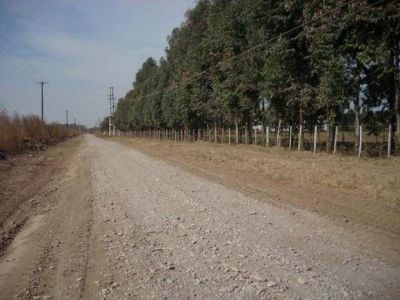 Reparan ruta necesaria para los productores