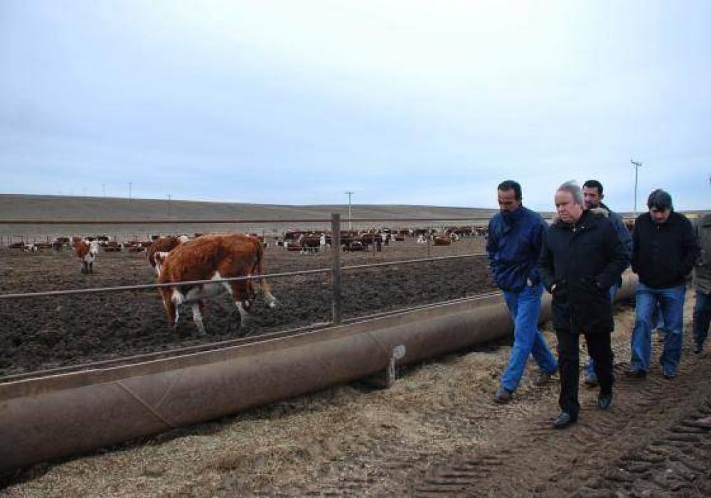 Peralta visit� trabajos de Feedlot que se llevan a cabo en zona de R�o Gallegos