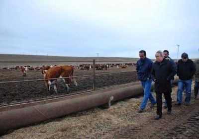 Peralta visit� trabajos de Feedlot que se llevan a cabo en zona de R�o Gallegos