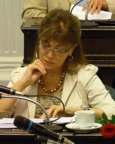 "Nora Nazar puede ser una candidata a gobernadora" 
