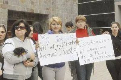 Un remisero ser�a el autor de la violaci�n y muerte de una perra en un hotel alojamiento