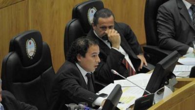  El aval a la ley �Prost�bulos Cero� no logr� el consenso legislativo mayoritario