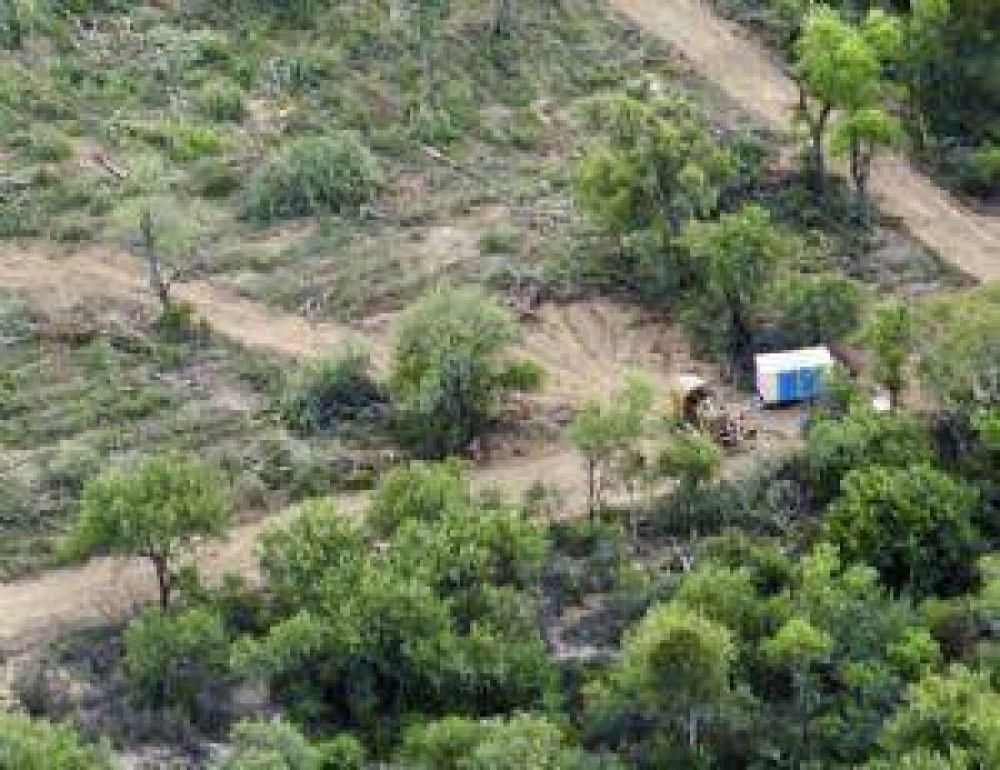 Se celebra el D�a del Profesional Forestal