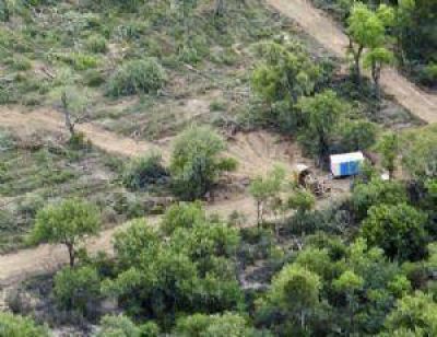 Se celebra el D�a del Profesional Forestal