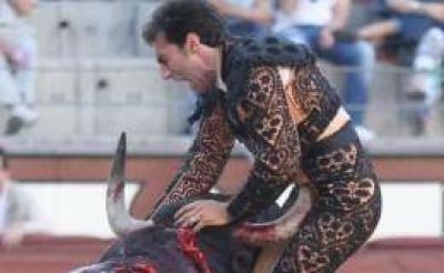 Torero, en grave estado tras ser corneado en Madrid