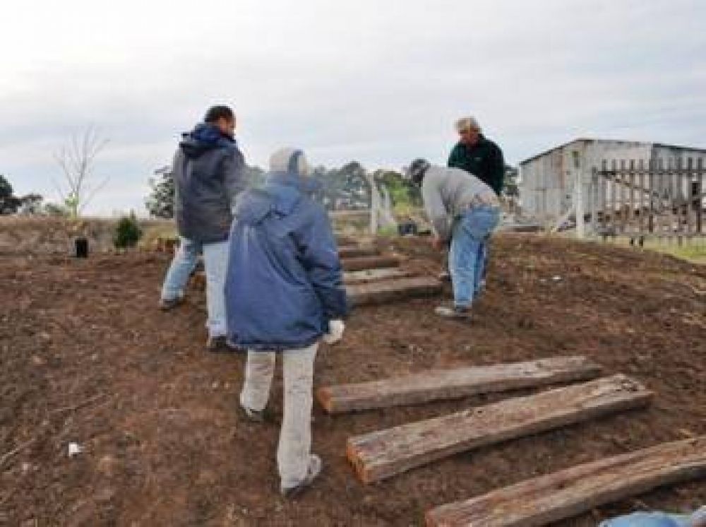 Trabajos de mejoras y forestaci�n en el Paseo del Arroyo