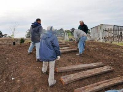 Trabajos de mejoras y forestaci�n en el Paseo del Arroyo