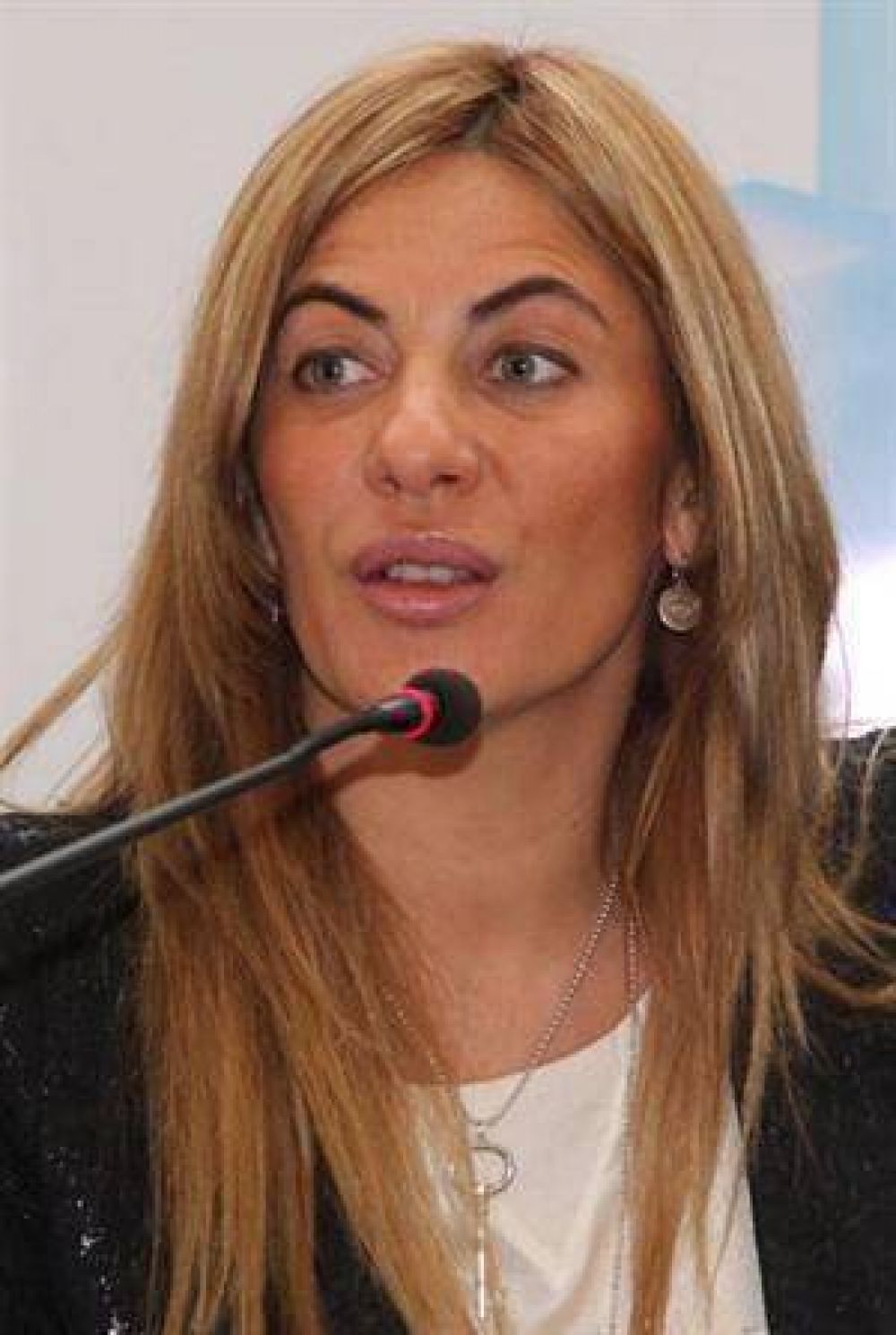 La sucesora de Gvirtz habla de "sinton�a fina" en la gesti�n de Scioli