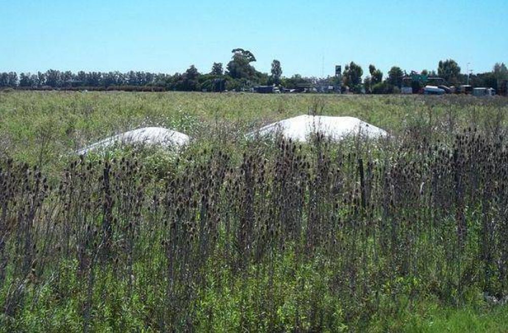 A poco m�s de tres a�os, toneladas de soja contin�an abandonadas