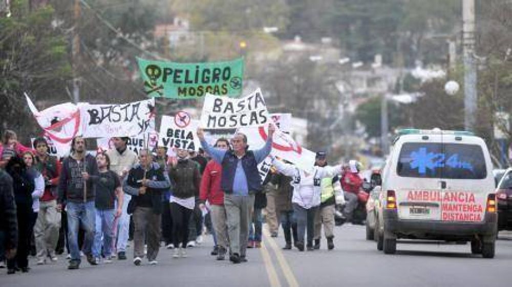 Fue la marcha de la mosca