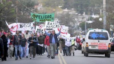 Fue la marcha de la mosca