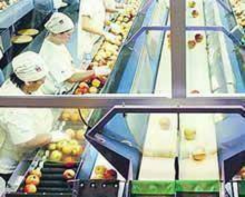 Fruticultura rionegrina: costos altos y p�rdidas millonarias