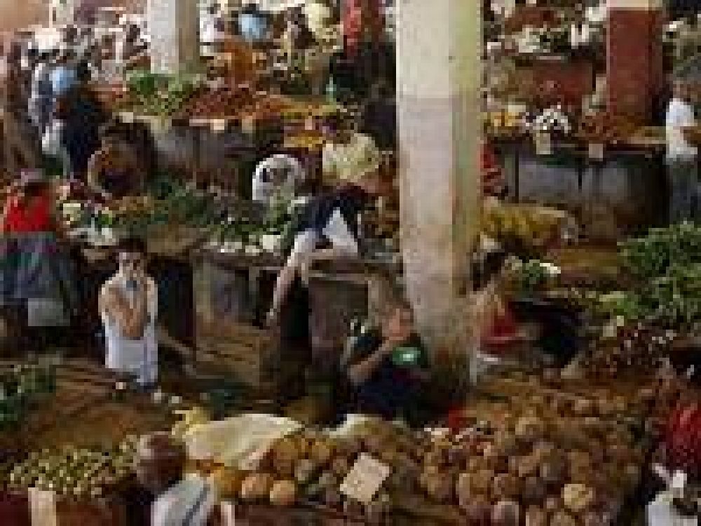 Pellegrino asegur� que �el precio de la papa aument� el 110 por ciento por las heladas y las verduras se incrementaron un 30%�