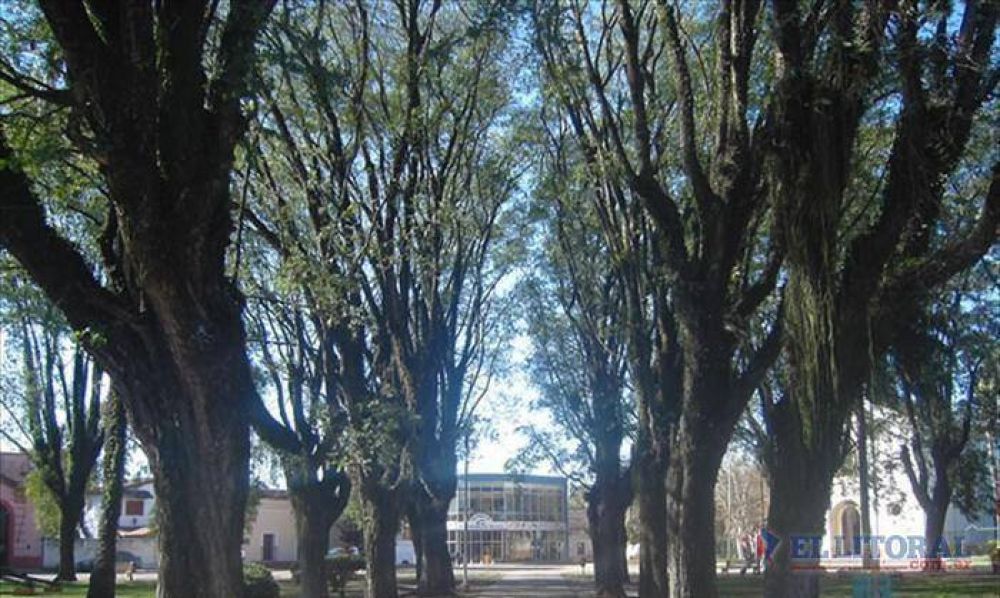 Analizan ampliar la vigilancia por videoc�maras en Curuz�