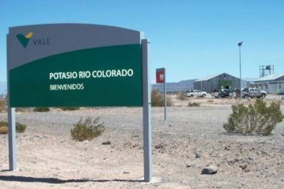  Potasio R�o Colorado: la empresa �tiene en revisi�n� el proyecto