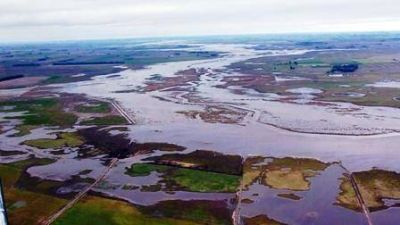 Productores agropecuarios iniciar�n juicio a la Provincia por inundaciones 