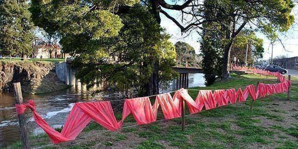 Crecida del arroyo: instalaron vallados de seguridad por �rboles afectados de ra�z