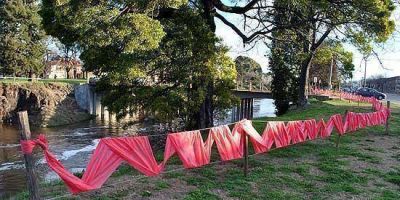 Crecida del arroyo: instalaron vallados de seguridad por �rboles afectados de ra�z