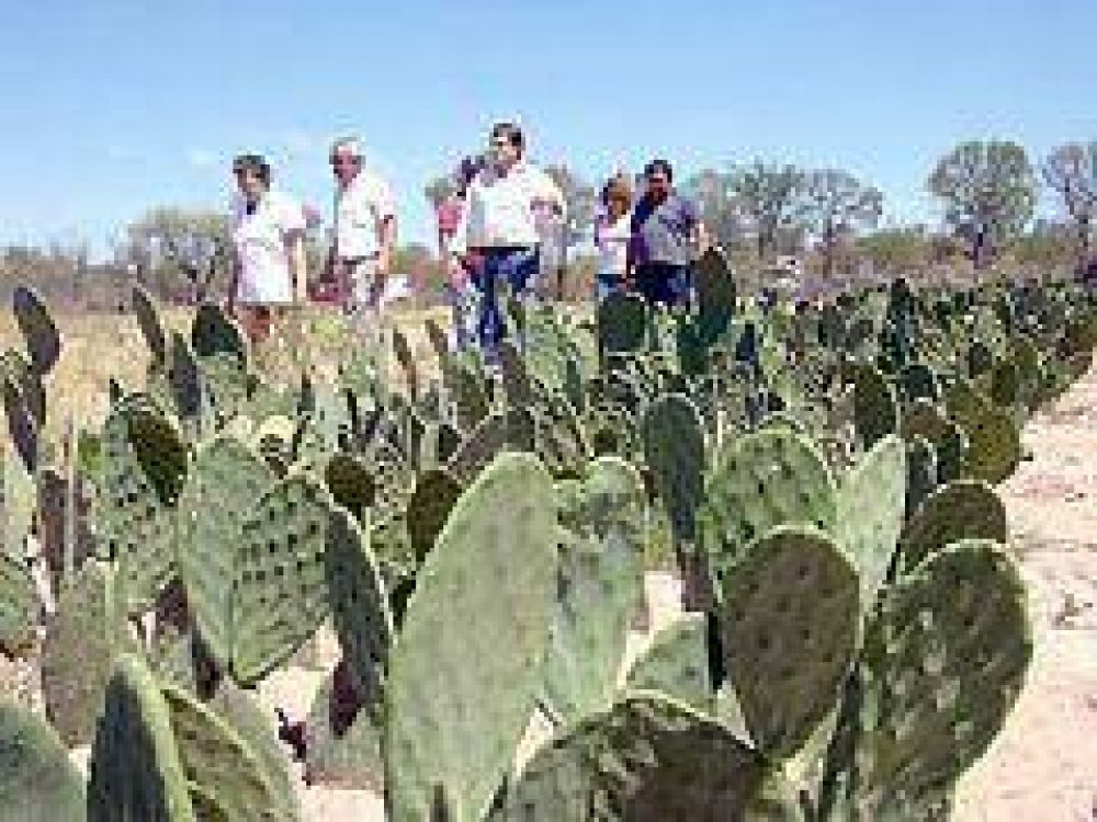 La Secretar�a de Tierras adjudic� predio de 29 hect�reas para la producci�n