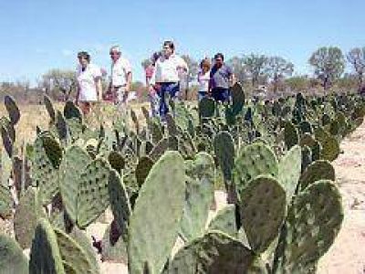 La Secretar�a de Tierras adjudic� predio de 29 hect�reas para la producci�n