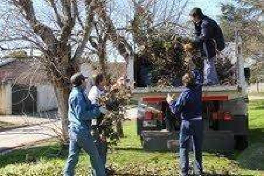 El Gobierno Municipal contin�a trabajando en la limpieza de la ciudad