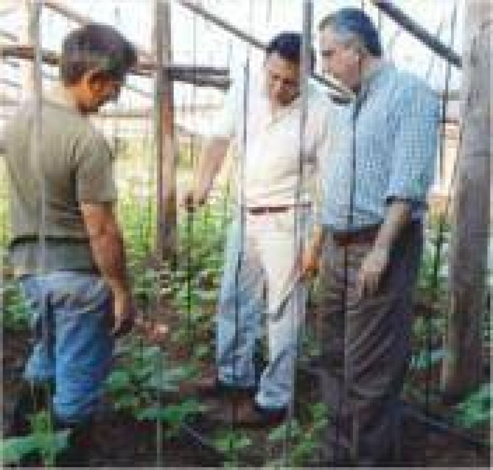 Passalacqua y Maciel visitaron chacras que abastecer�n al Mercado Concentrador