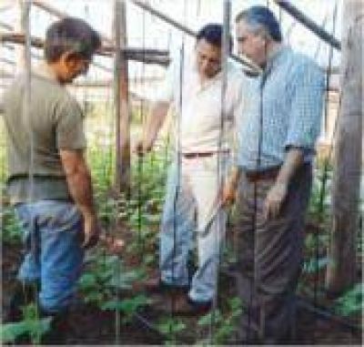 Passalacqua y Maciel visitaron chacras que abastecer�n al Mercado Concentrador
