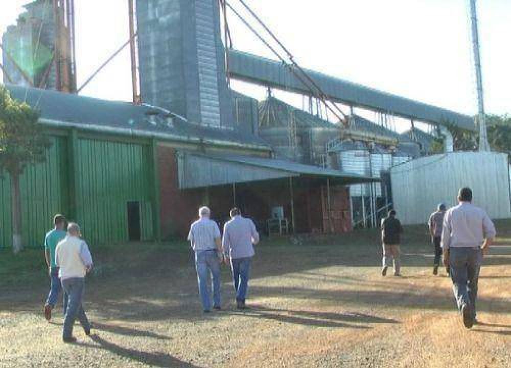 Buscan aumentar la producción de granos en la zona de Irigoyen