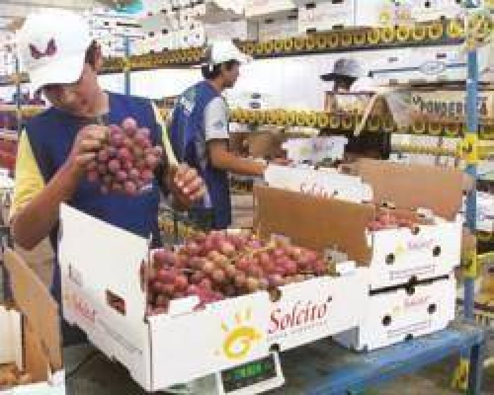 Marcelo Al�s: �Extraoficialmente Brasil dejar� entrar uva en fresco�