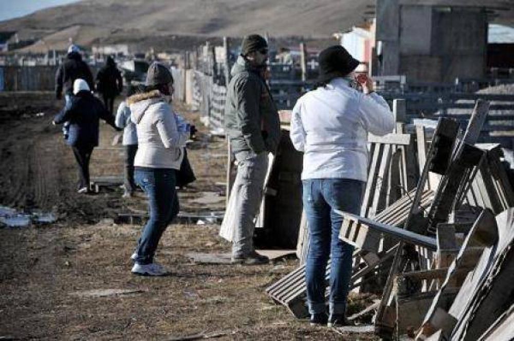 Intensa campa�a en los asentamientos por la presencia de brucelosis canina