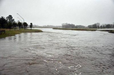 El arroyo al l�mite: hace pico esta ma�ana pero hay tendencia a la baja en Querand�es