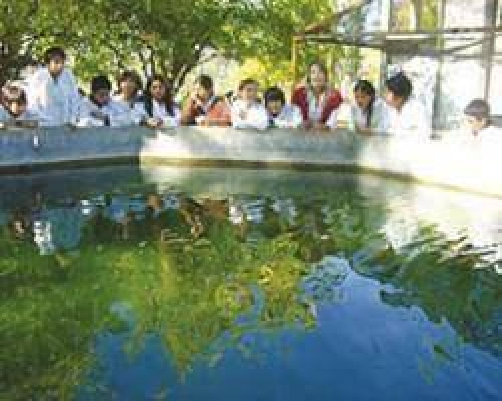  A fin de a�o estar� listo el primer vivero provincial de especies arb�reas nativas