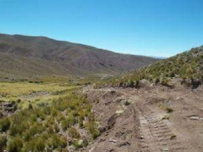 Huella Minera para acceso a minera de azufre y fluorita