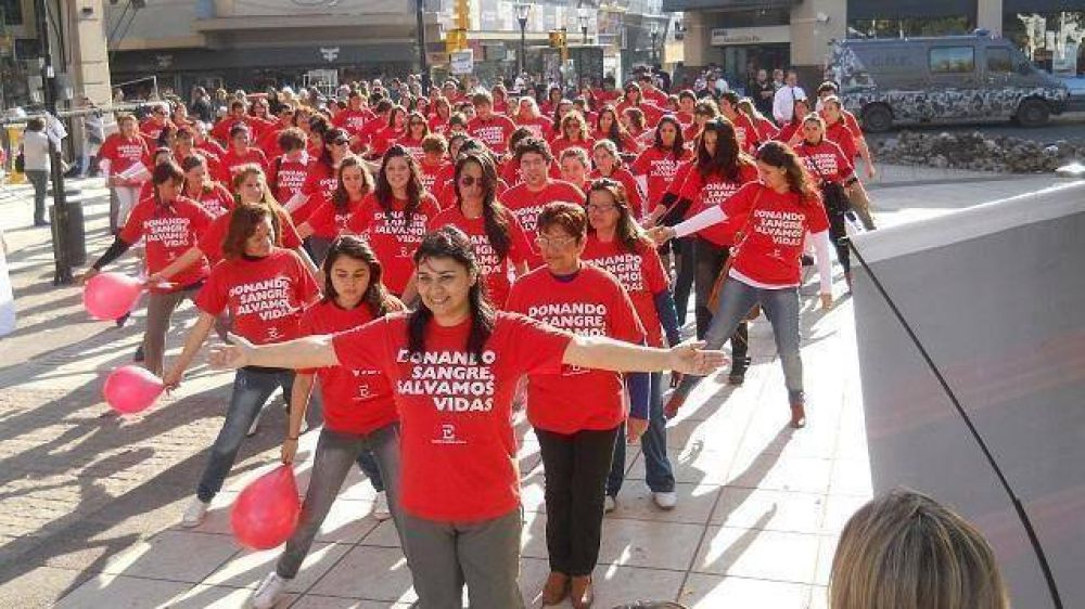 Estimulan la donaci�n de sangre en la provincia