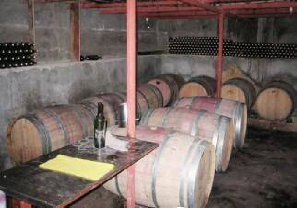 La vitivinicultura se multiplica en la provincia 