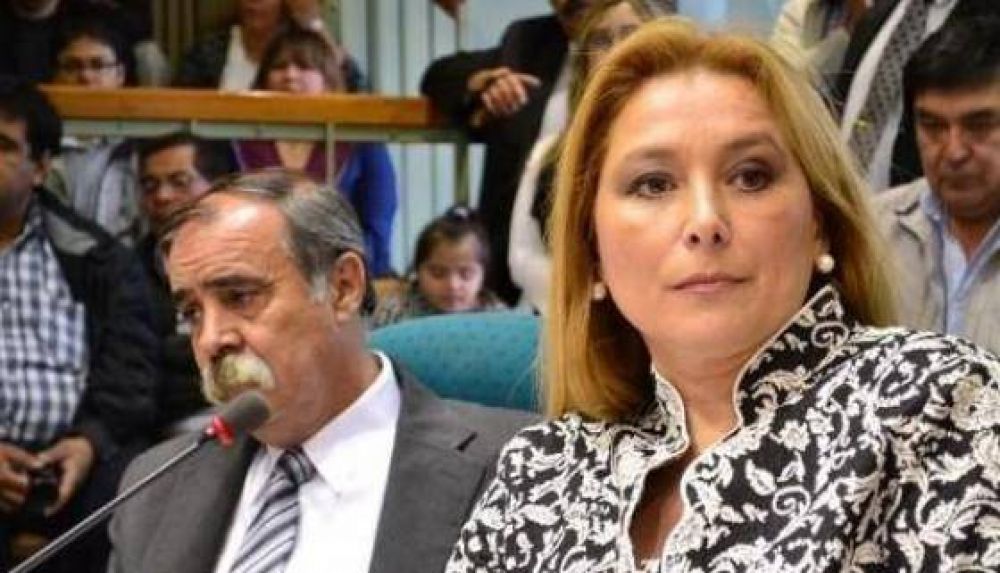 "Yo no se que es lo lindo que encontr� el vice" critic� Bubola